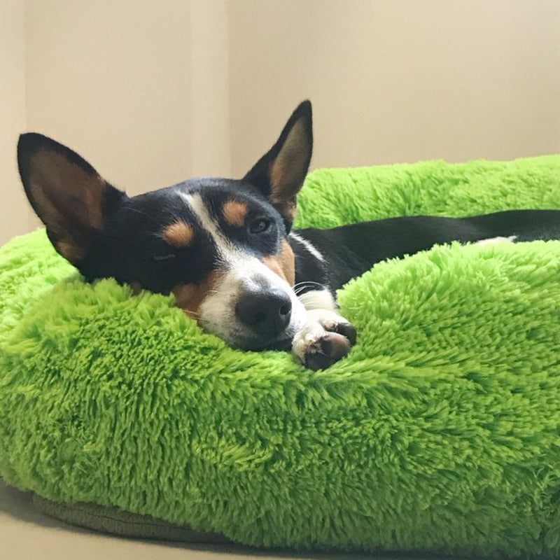 Dog Long Plush Dounts Bed
