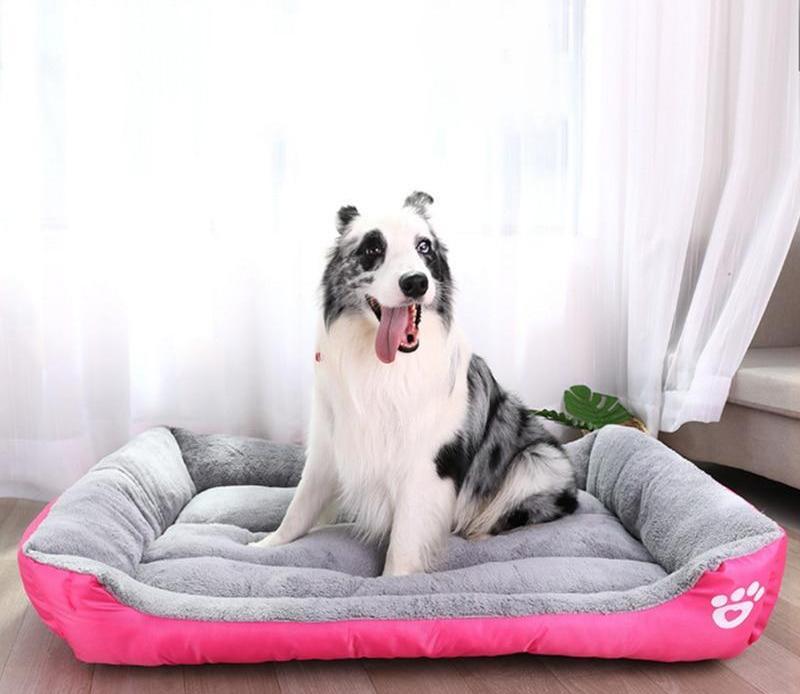 Dog and Cat Bed