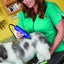 Easyclip Pro-Animal 7-Piece Detachable Blade Clipper Kit, Animal/Dog Grooming, Blue, MBG-2 (21485)
