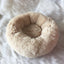 Dog Long Plush Dounts Bed