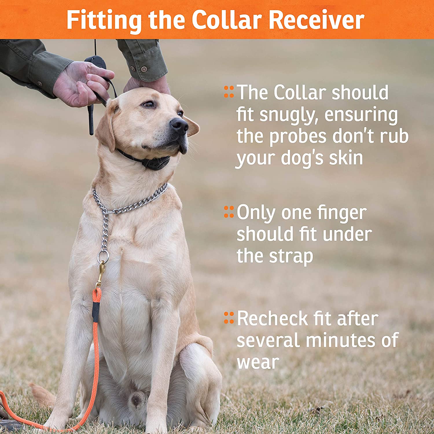 Sportdog Brand Sporthunter 1825X Remote Trainer - Rechargeable Dog Training Collar with Shock, Vibrate, and Tone - 1 Mile Range - SD-1825X