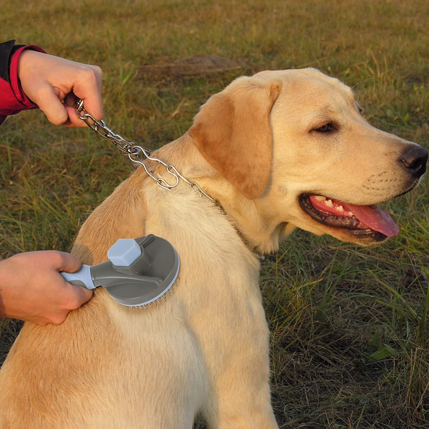 Cat Grooming Brush, Self Cleaning Slicker Brushes for Dogs Cats Pet Grooming Brush Tool Gently Removes Loose Undercoat, Mats Tangled Hair Slicker Brush for Pet Massage-Self Cleaning