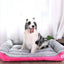 Dog and Cat Bed